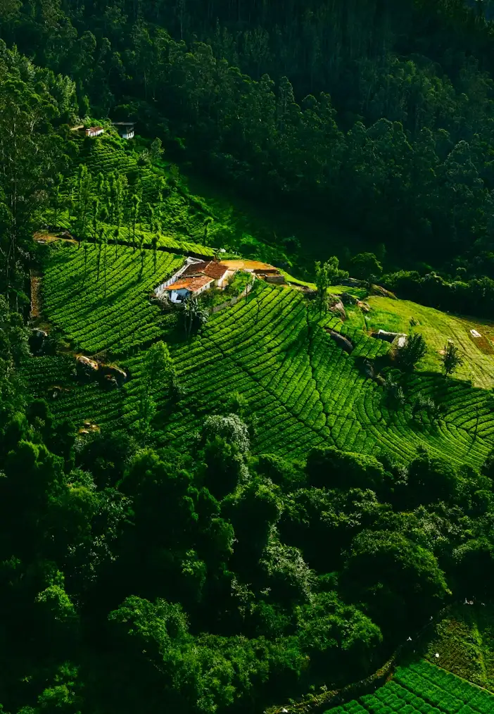 Ooty FAQ Image
