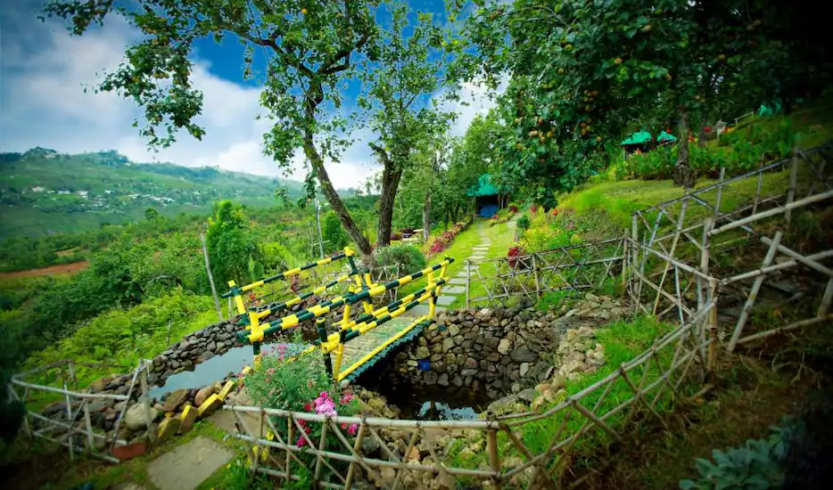 Ooty Tour Package